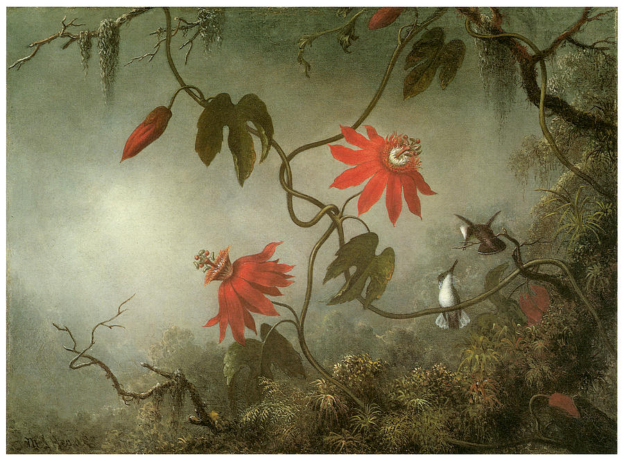 Martin Johnson Heade Painting - Passion Flowers and Hummingbirds by Martin Johnson Heade