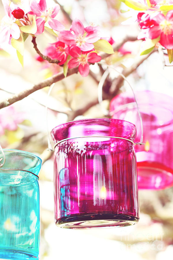 Pastel colored candles in a tree Photograph by Stephanie Frey