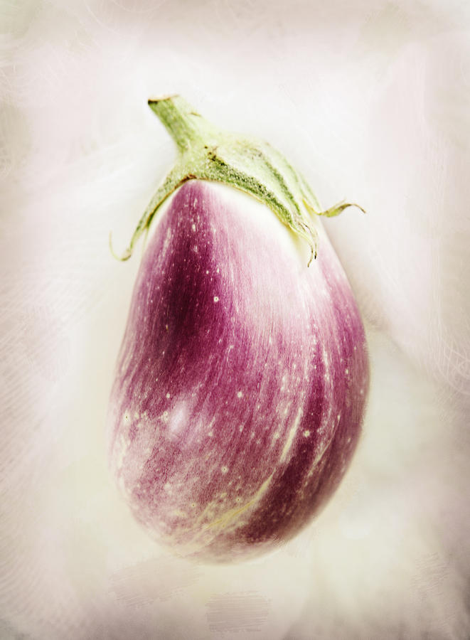 Pastel Eggplant Photograph by Marilyn Hunt