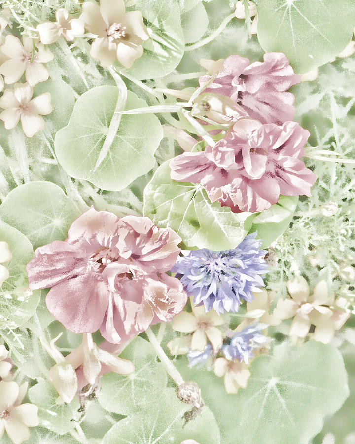 Pastel Flowers Photograph by Bonnie Bruno