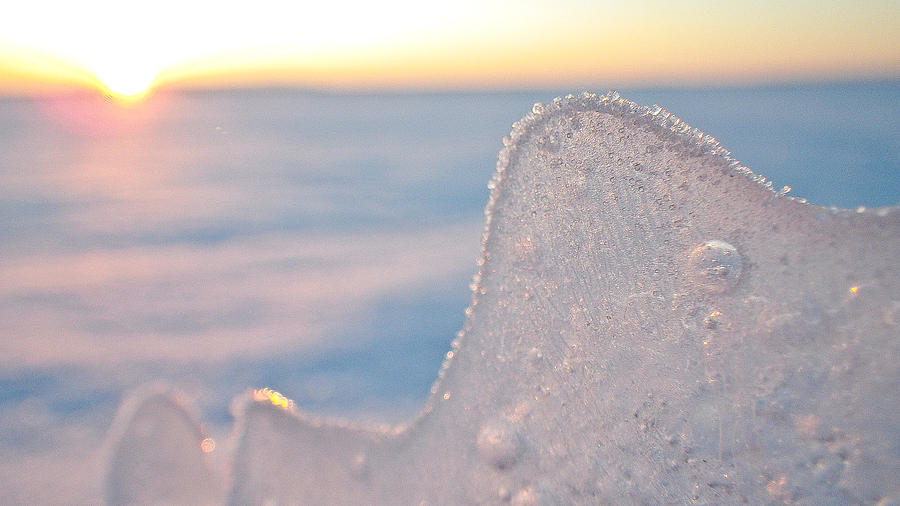Pastel Ice Photograph by Tingy Wende