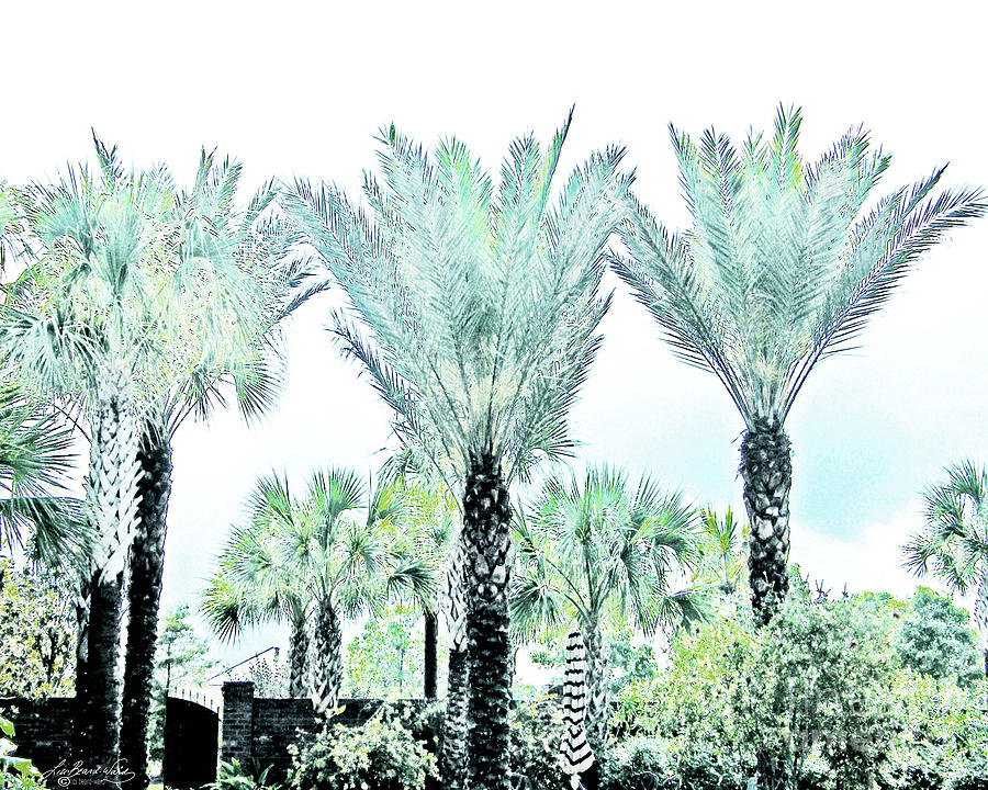 Pastel Palms Digital Art by Lizi Beard-Ward