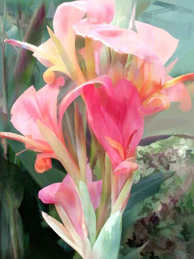 Flower Painting - Pastel Pink Cannas by Elaine Plesser