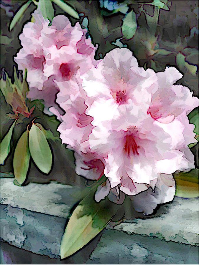 Flower Painting - Pastel Pink Rhodendron at Garden Wall by Elaine Plesser
