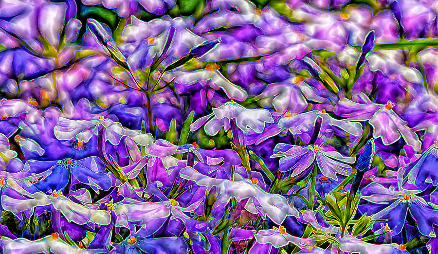 Pastelated Florets Photograph by Bill and Linda Tiepelman