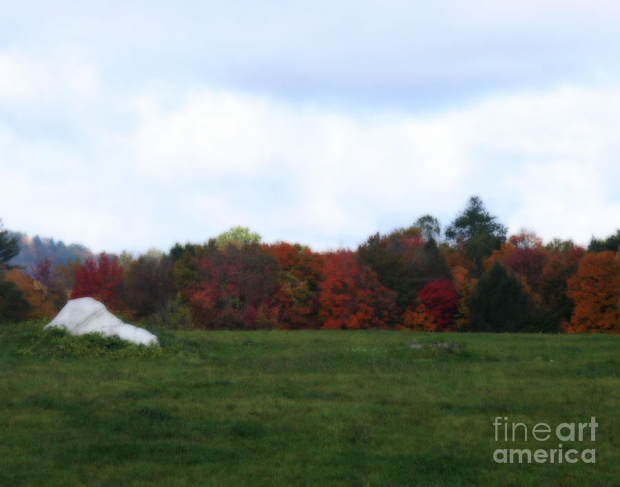Pasture In Autumn Photograph by Smilin Eyes Treasures