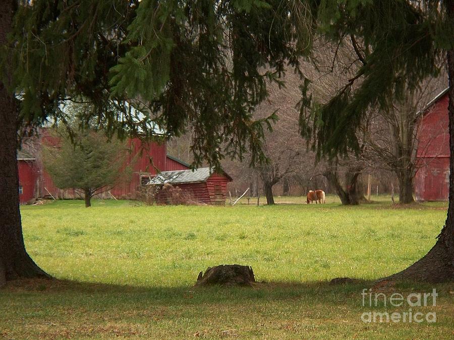 Barn Photograph - Pasture of Peace by Christian Mattison