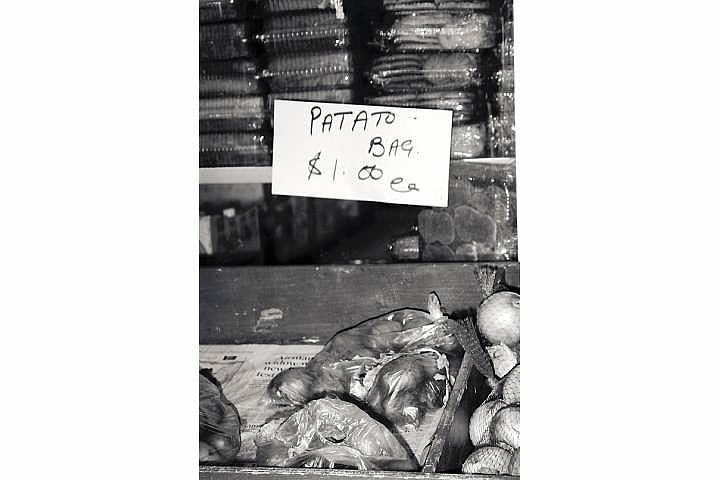 Patato Potatoe Photograph by Susan Voidets