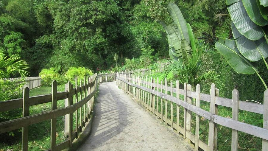 Path at Macqueripe Bay Photograph by Jennylynd James