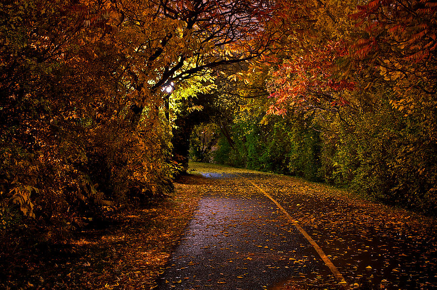 Path at Night Photograph by Prince Andre Faubert