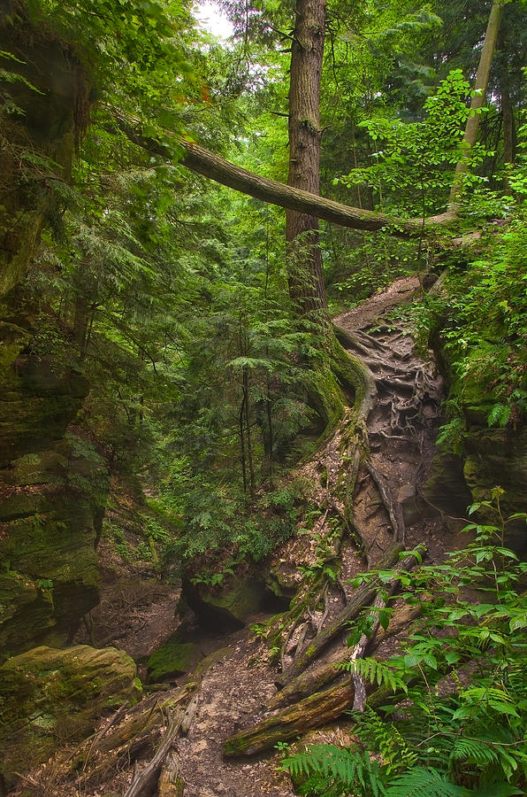 Mohican Photograph - Path Less Traveled by Brian Mollenkopf Mohican Photograph - Path Less Traveled by Brian Mollenkopf