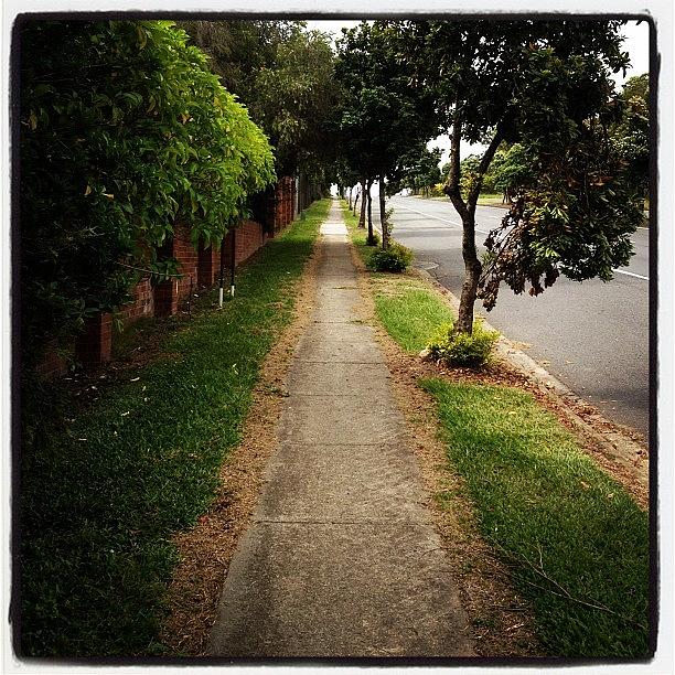 Instagram Photograph - Path Perspective by Cameron Bentley