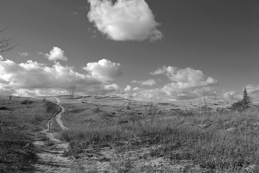 Path Through The Dunes Photograph By Twenty Two North Photography 