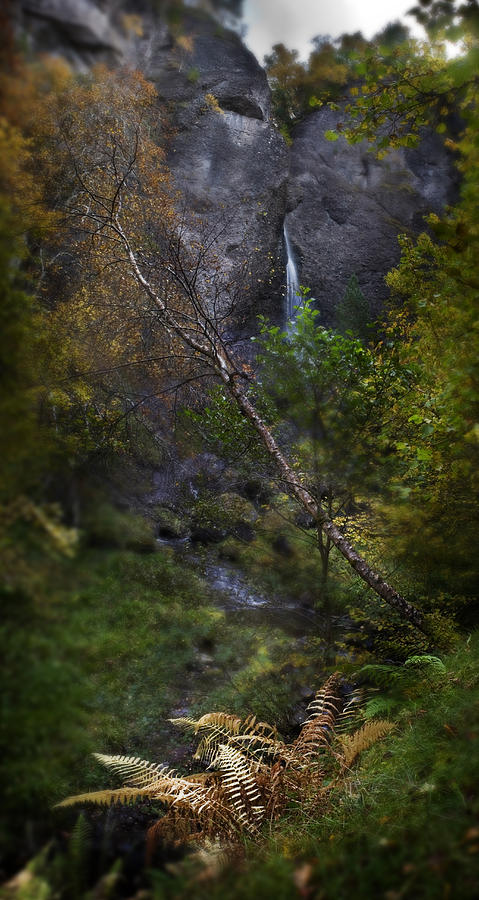 Path to Culnaskiach Falls Photograph by Joe Macrae