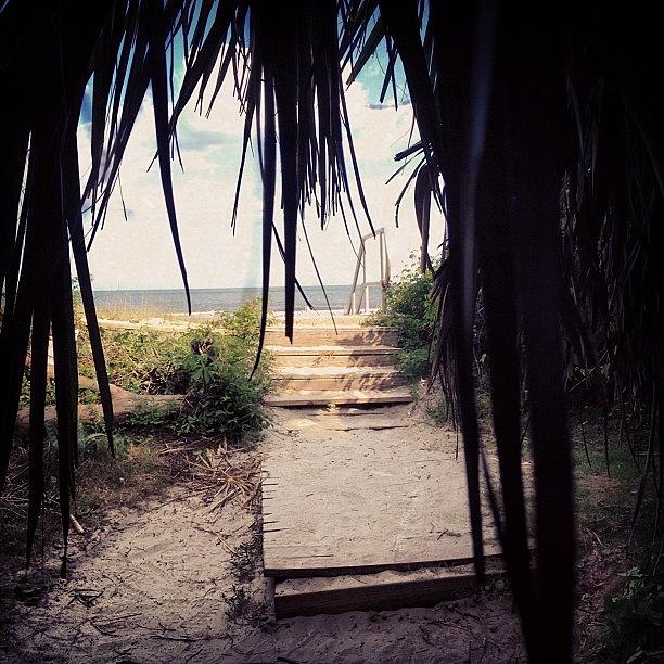 Summer Photograph - Path To The #beach by The Fun Enthusiast 