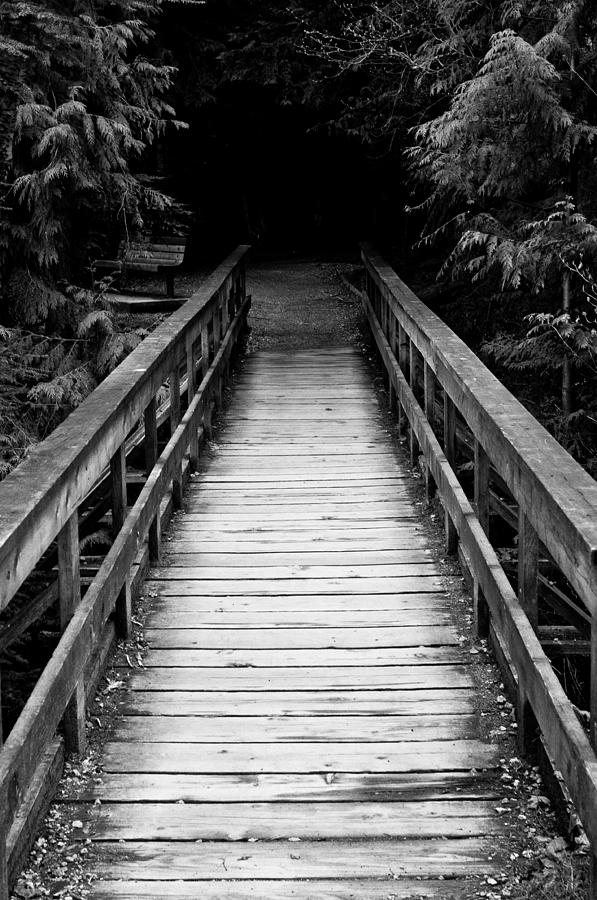 Path To The Unknown Photograph by Dana Smith - Fine Art America