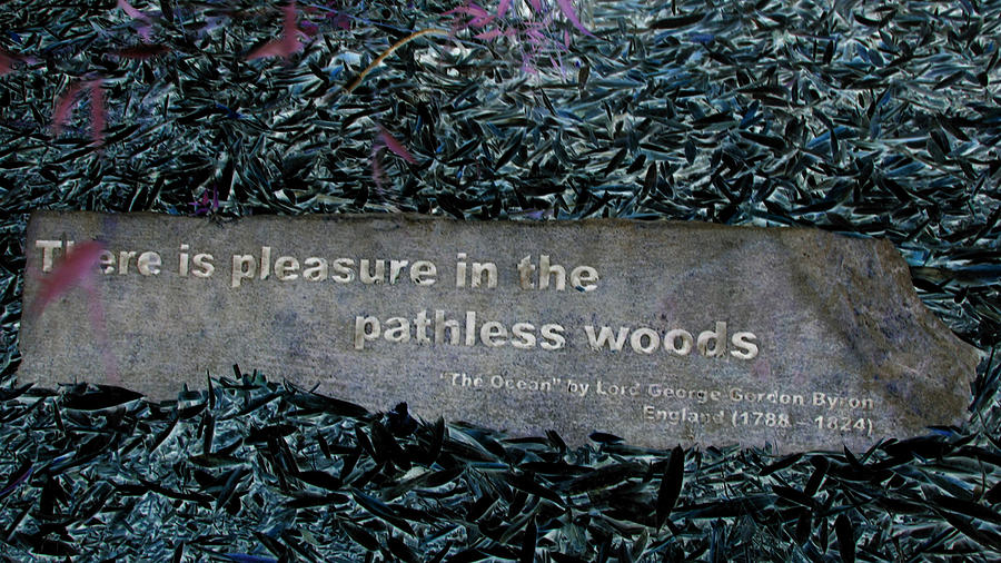 Quote Photograph - Pathless Woods by Elisia Cosentino