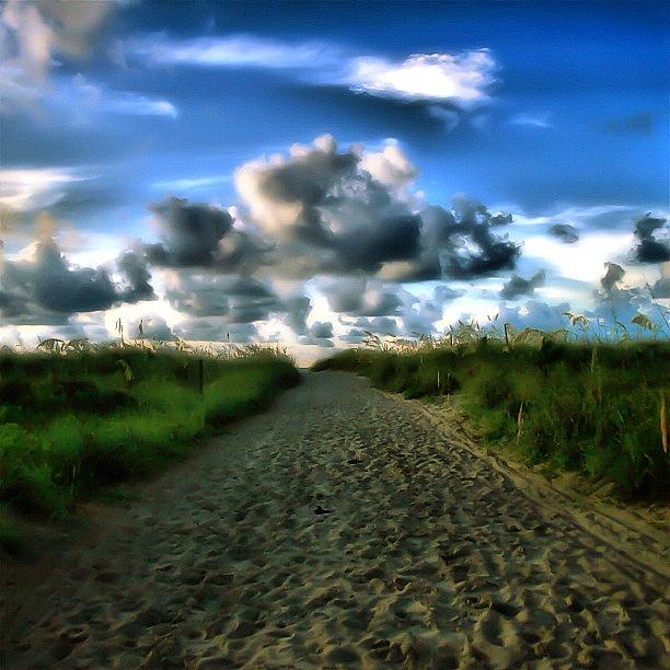 Landscape Photograph - Pathway I Want To Be On! by Tony Delsignore