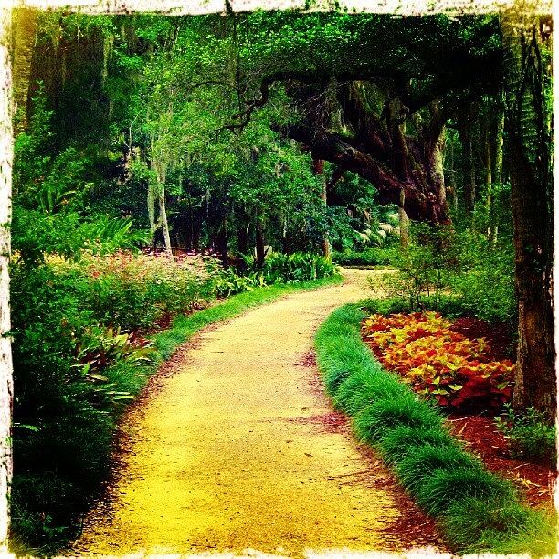 Nature Photograph - Pathway #path #nature #instagram by Melissa Fleming