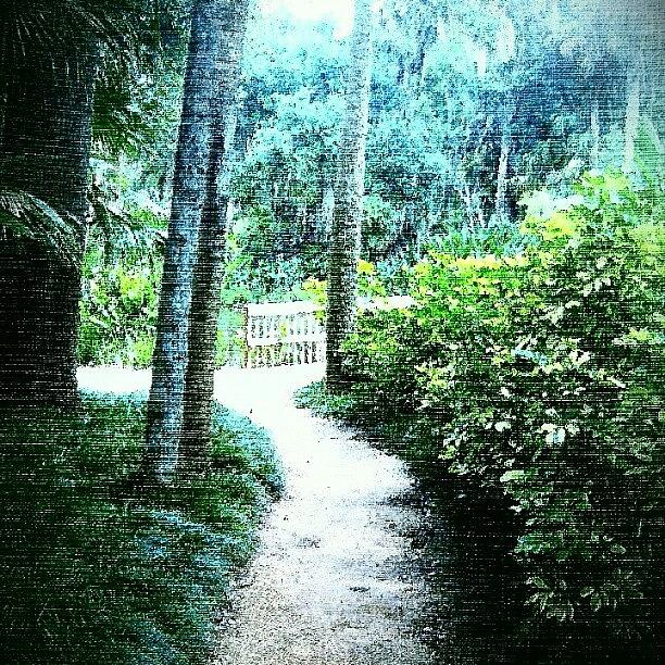 Nature Photograph - Pathway #tagstagram .com #me by Melissa Fleming