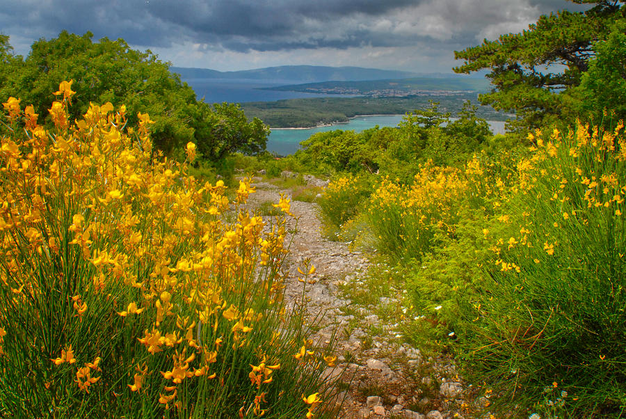 Pathway to the Adriatic Photograph by Don Wolf