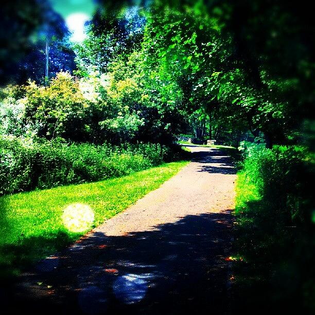 Summer Photograph - Pathway To Tranquility #s2ographer by Paul Mcfadyen