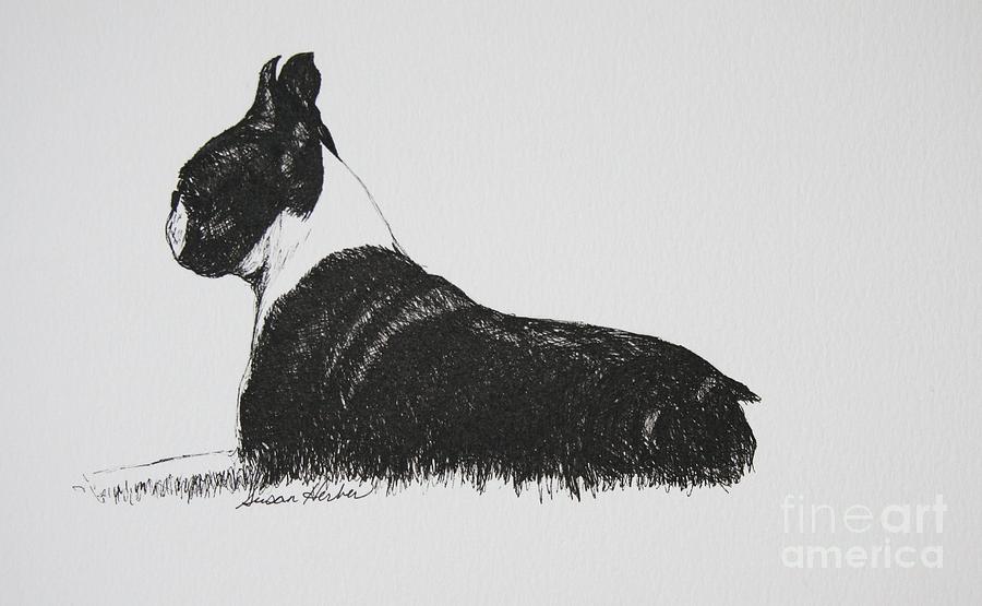 Patience Drawing by Susan Herber