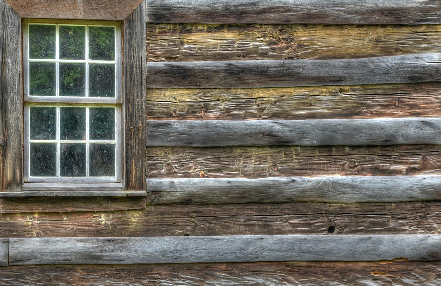 Nature Photograph - Patriot by Mary Anne Baker Nature Photograph - Patriot by Mary Anne Baker