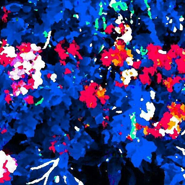 Abstract Photograph - Patriotic Floral Impression by Marianne Dow