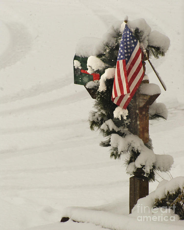 Patriotic Holiday Mailbox Photograph by Margie Avellino