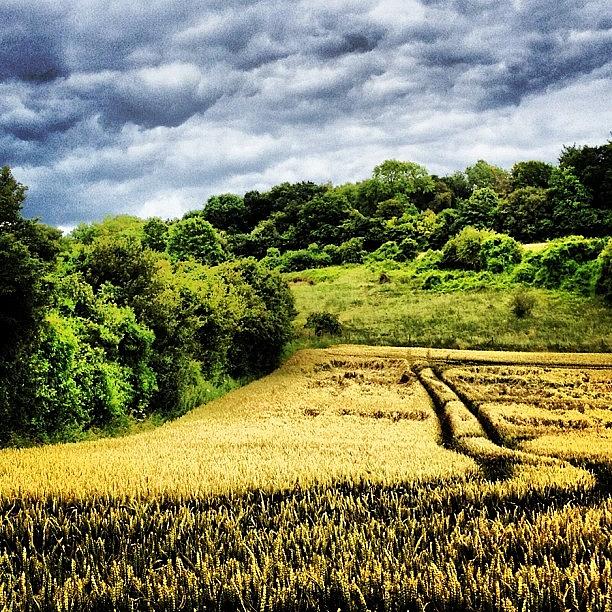 Nature Photograph - #pattern In The #landscape #fields by Nikki Sheppard