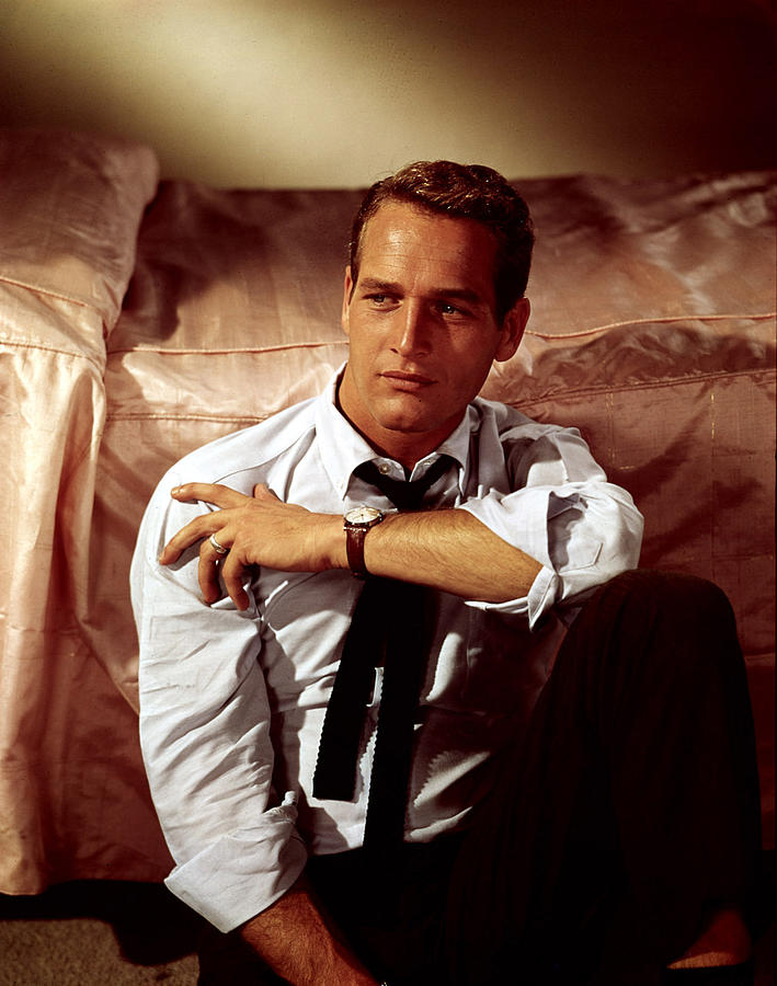 Portrait Photograph - Paul Newman In The Late 1950s by Everett