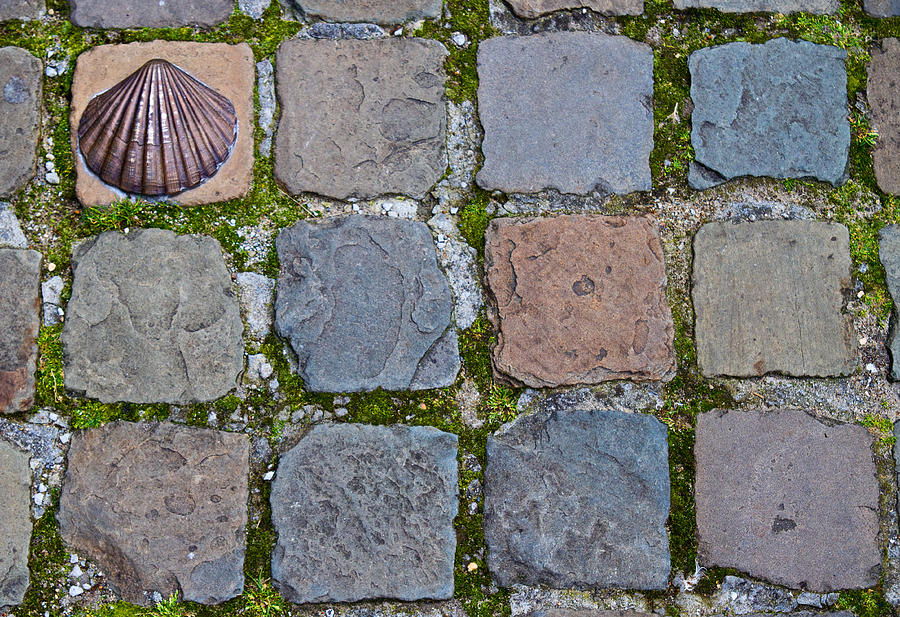 Paving stones Photograph by David Freuthal