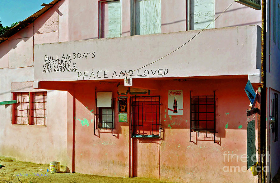 Peace and Loved Photograph by Li Newton