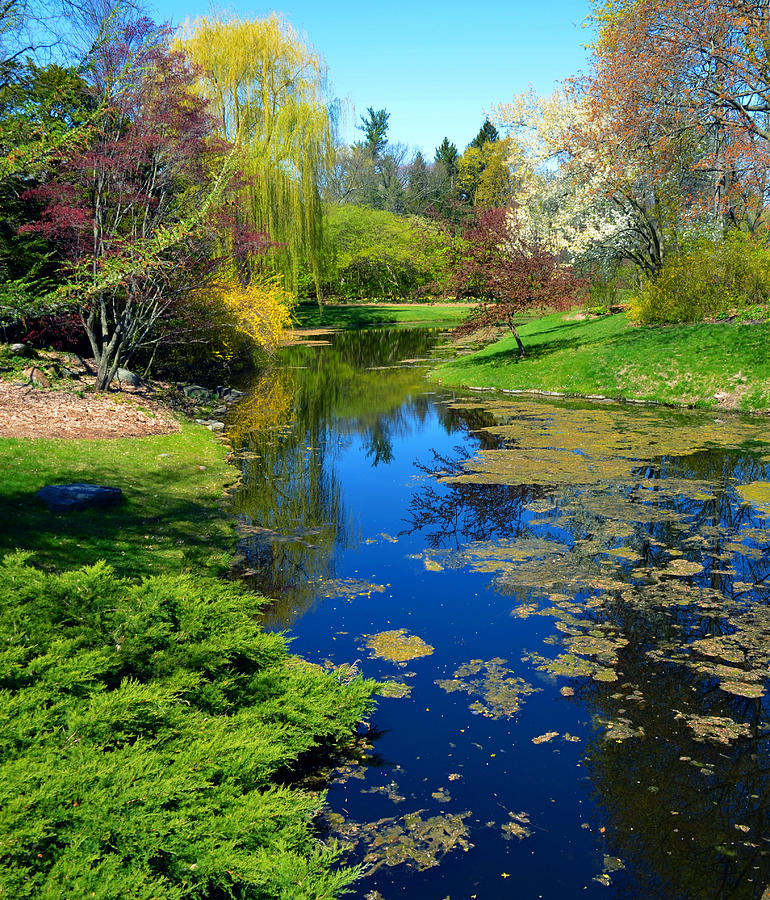 Peace and Serenity Photograph by Gerry Buckel - Fine Art America