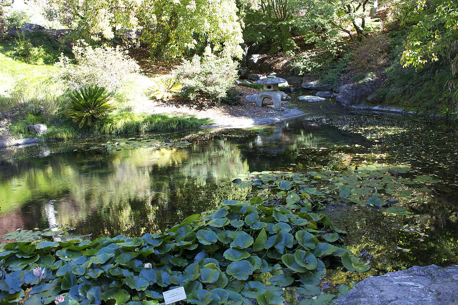 Peace Garden Photograph by Raquel Amaral - Fine Art America