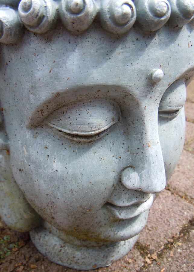 Head Photograph - Peace by Julie Williams