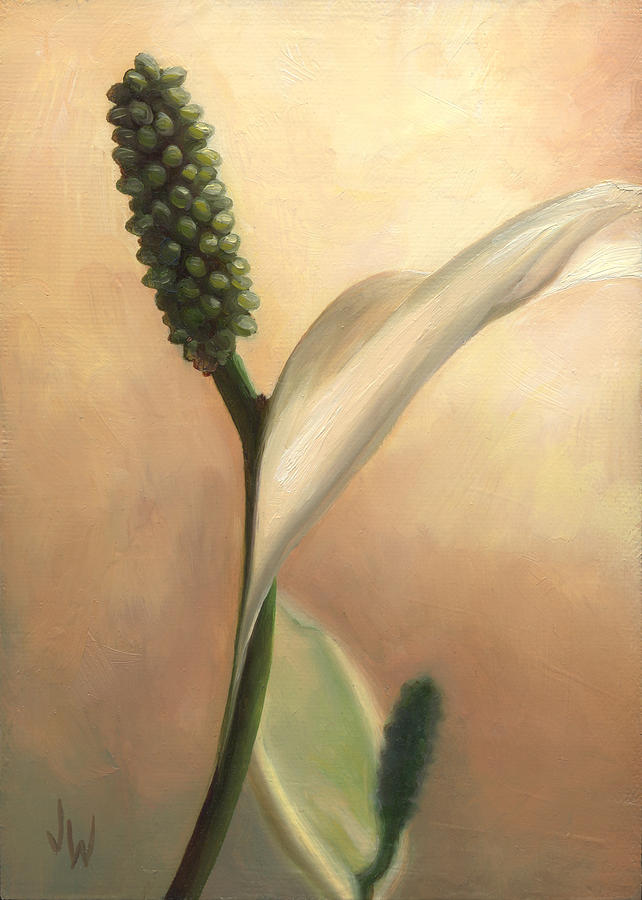 Peace Lily Painting by Joe Winkler