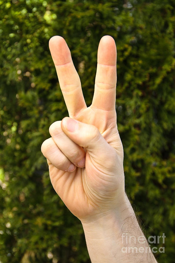 Peace Sign Photograph by Photo Researchers, Inc.
