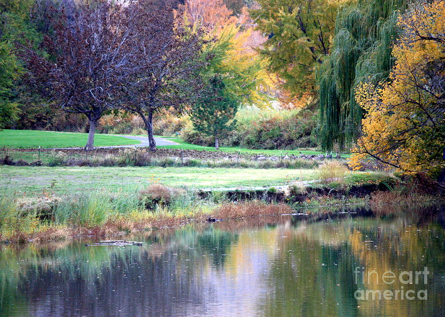 Fall Photograph - Peaceful Autumn Park by Carol Groenen