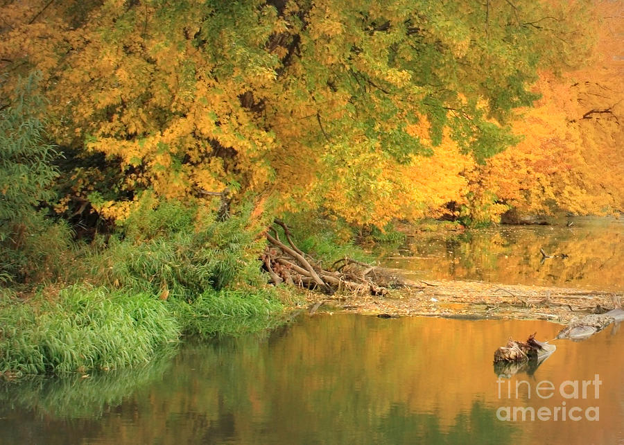 Peaceful Autumn River Photograph by Carol Groenen