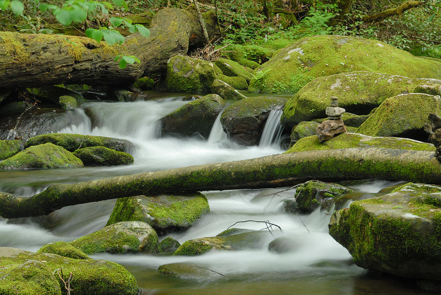 Peaceful Creek Photograph by Joye Ardyn Durham