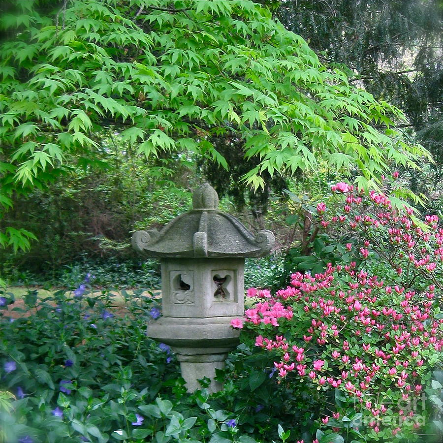 Peaceful Garden  Photograph by Nancy Patterson