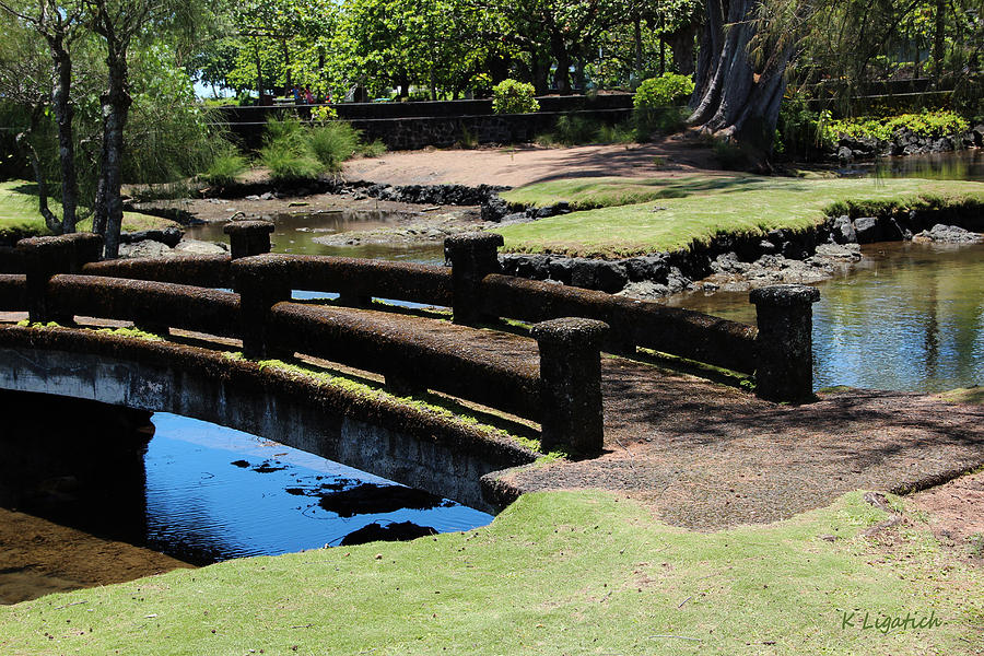 Peaceful Pathways - Queen Liliuokalani Park and Japanese Gardens Photograph by Kerri Ligatich