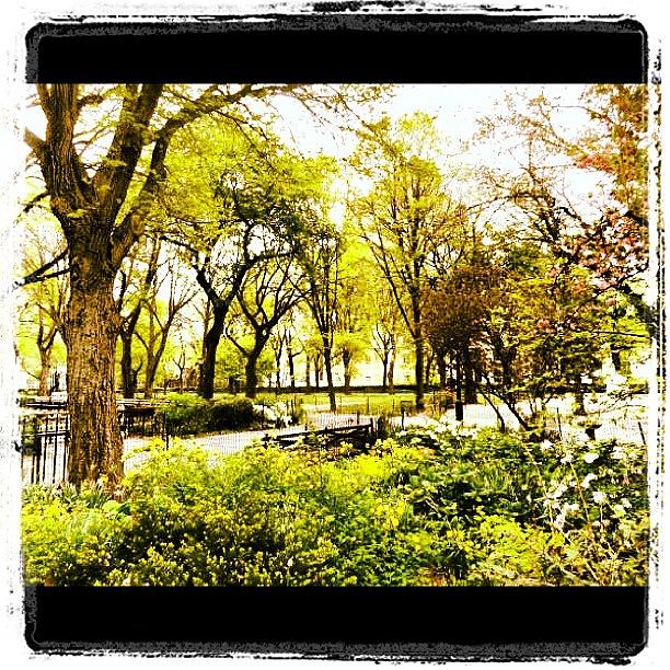 Spring Photograph - Peaceful Spot At Riverside, Nyc by Luis Alberto