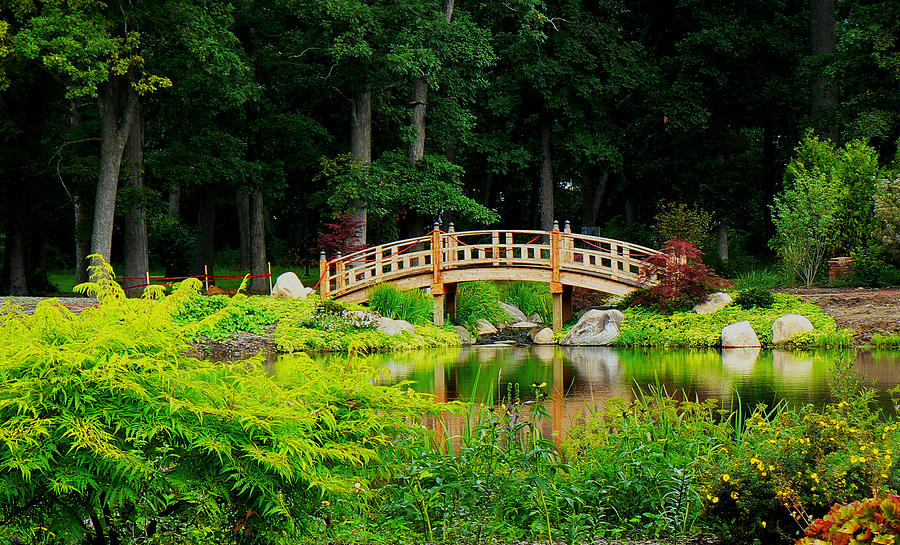 Peaceful Walk Photograph by Connie Dye - Pixels