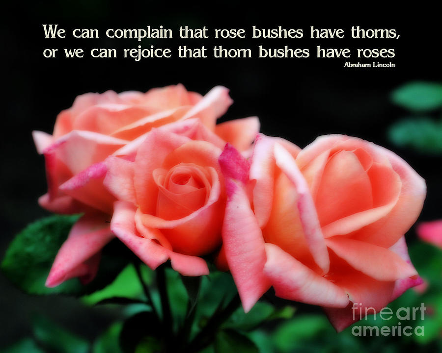Peach Rosebuds Attitude Quote Photograph by Smilin Eyes Treasures