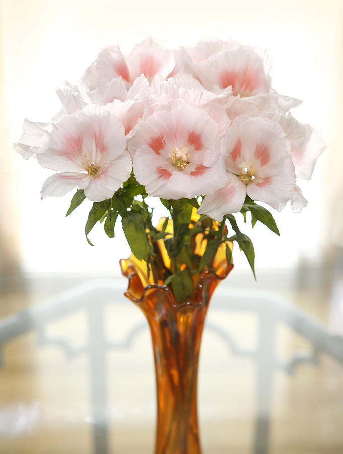 Flower Photograph - Peachy Gladiolas by Marilyn Hunt