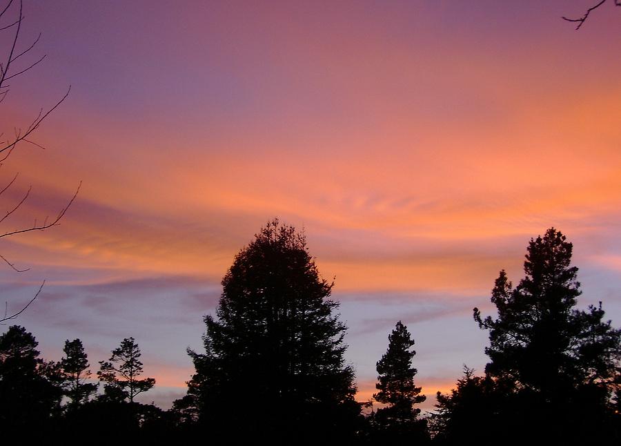 Peachy Sunset Sky Photograph by Susan Johansen