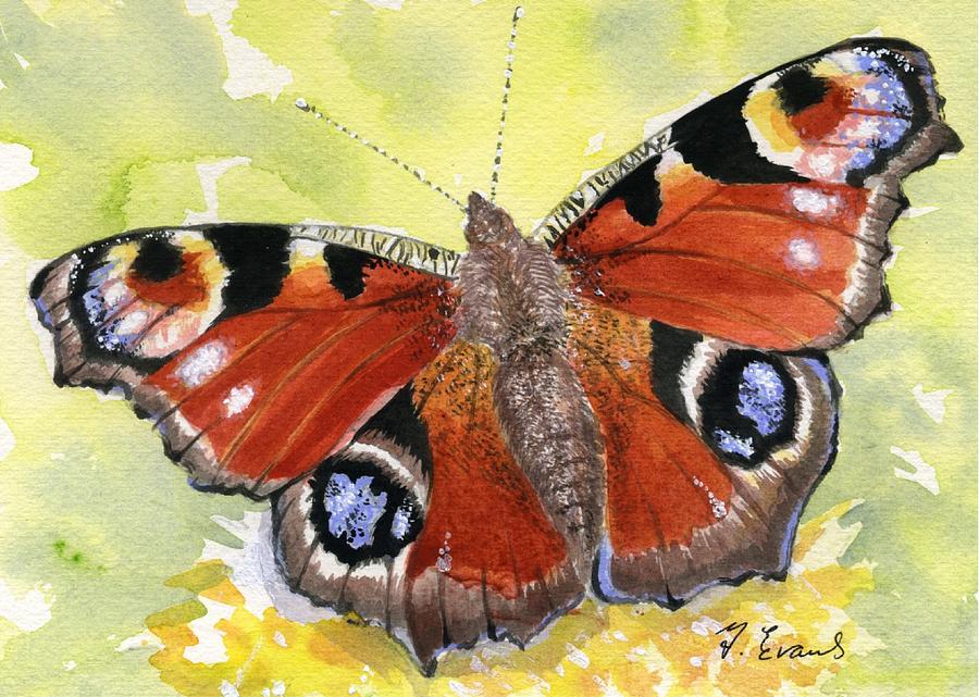 Peacock Butterfly by Frances Evans